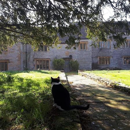 The Manor House, Curry Mallet Taunton Exteriér fotografie