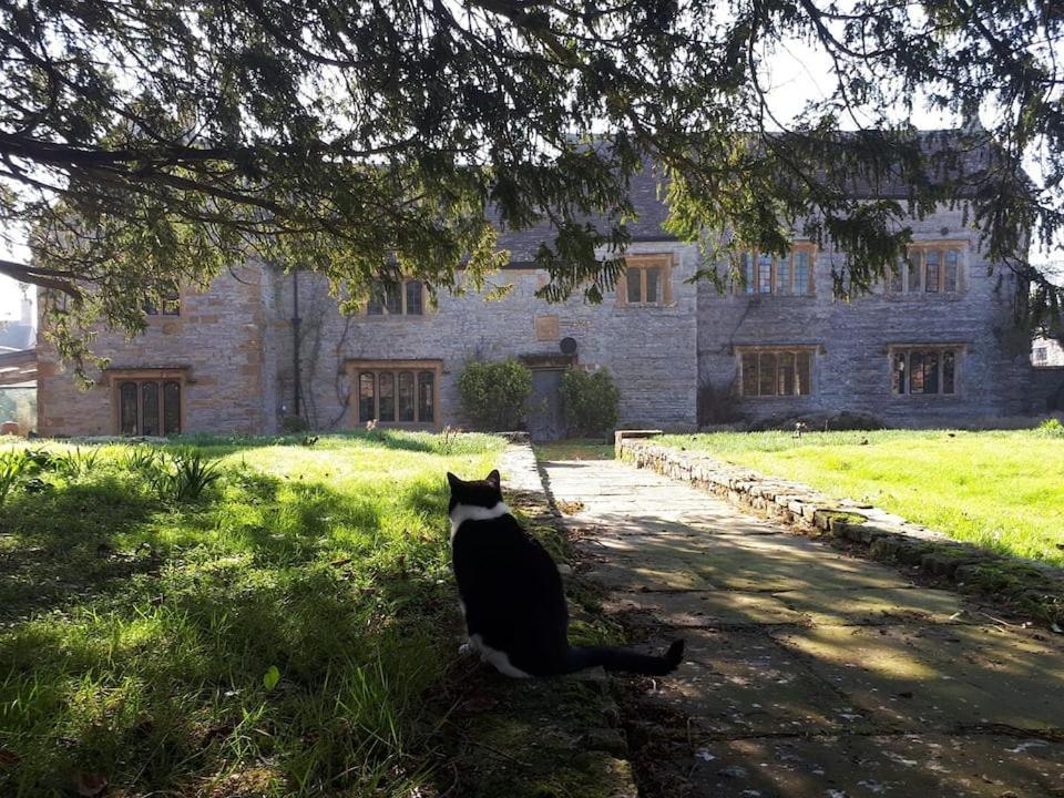 The Manor House, Curry Mallet Taunton Exteriér fotografie