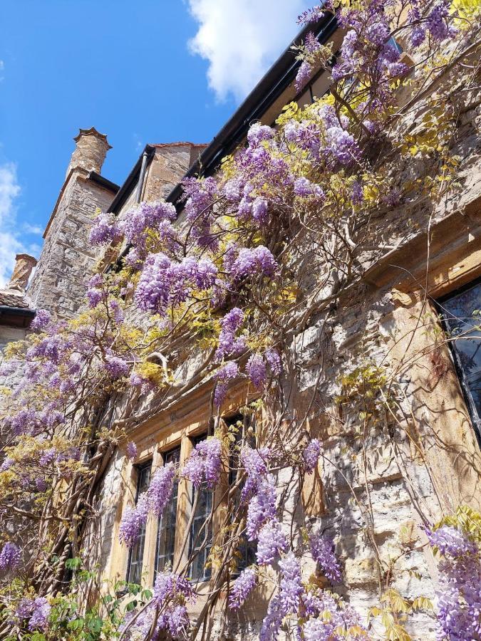 The Manor House, Curry Mallet Taunton Exteriér fotografie