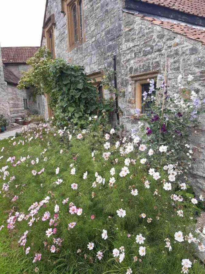 The Manor House, Curry Mallet Taunton Exteriér fotografie